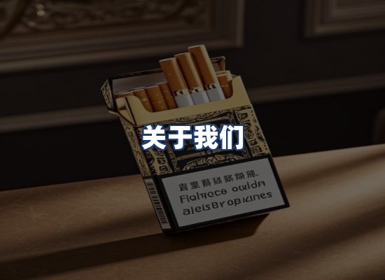 关于我们